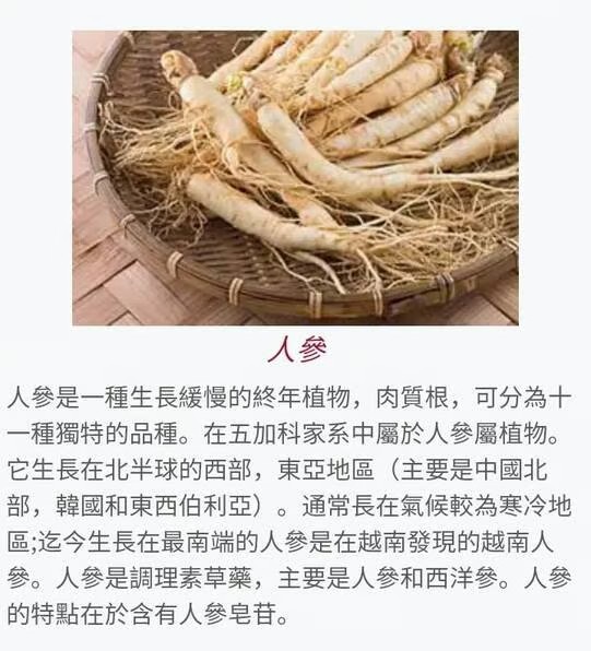 人參成分