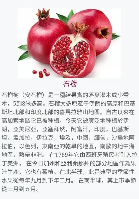 石榴成分