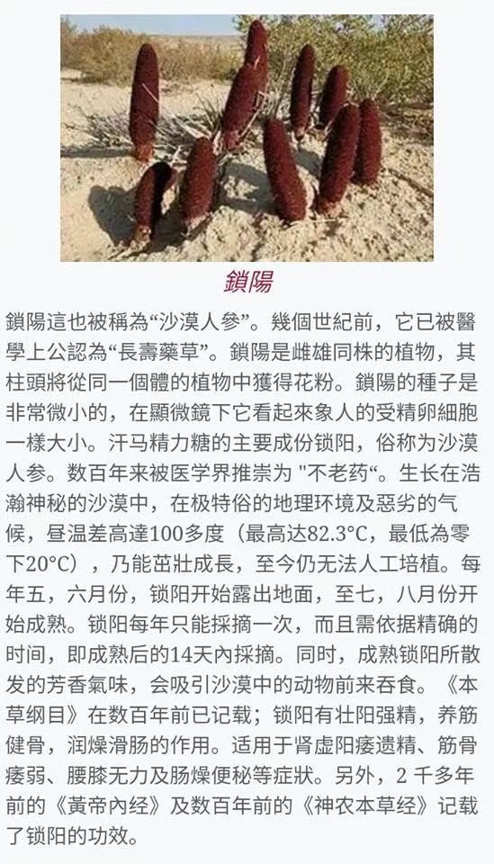 麥芽成分
